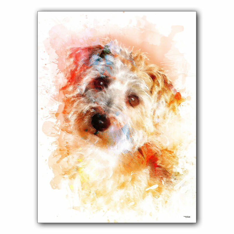 affiche-poster-tableau-animaux-chien-athos-©-totor-splashed