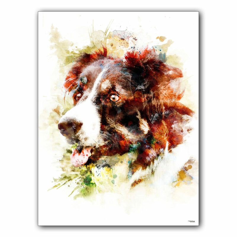 affiche-poster-tableau-animaux-chien-laggan-©-totor-splashed
