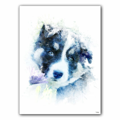 affiche-poster-tableau-animaux-chien-laggan-chiot-©-totor-splashed