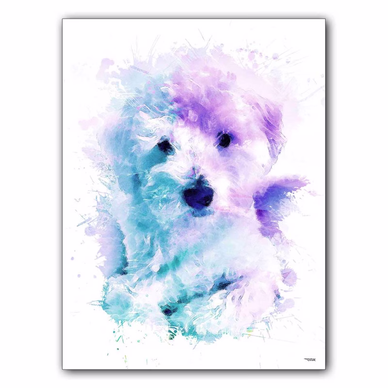 affiche-poster-tableau-animaux-chien-scotty-©-totor-splashed