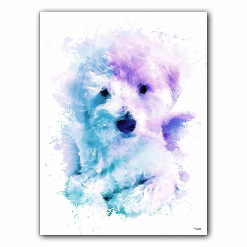 affiche-poster-tableau-animaux-chien-scotty-©-totor-splashed
