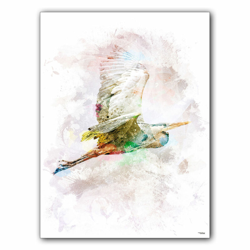 affiche-poster-tableau-animaux-oiseau-heron-©-totor-splashed