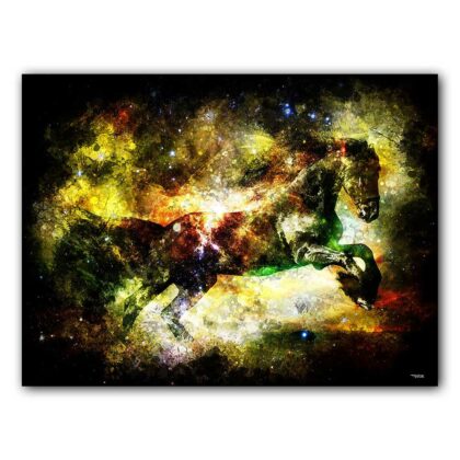 affiche-poster-tableau-animaux-cheval-etalon-frison-©-totor-splashed-01