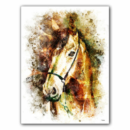 affiche-poster-tableau-animaux-cheval-pur-sang-arabe-©-totor-splashed-01