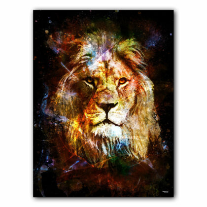 affiche-poster-tableau-animaux-felin-lion-©-totor-splashed-01