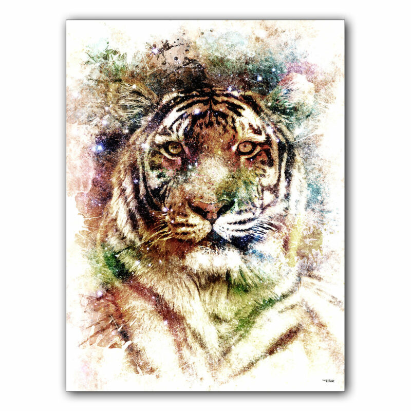 affiche-poster-tableau-animaux-felin-tigre-©-totor-splashed-01