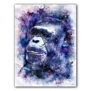 affiche-poster-tableau-animaux-singe-chimpanze-©-totor-splashed-01