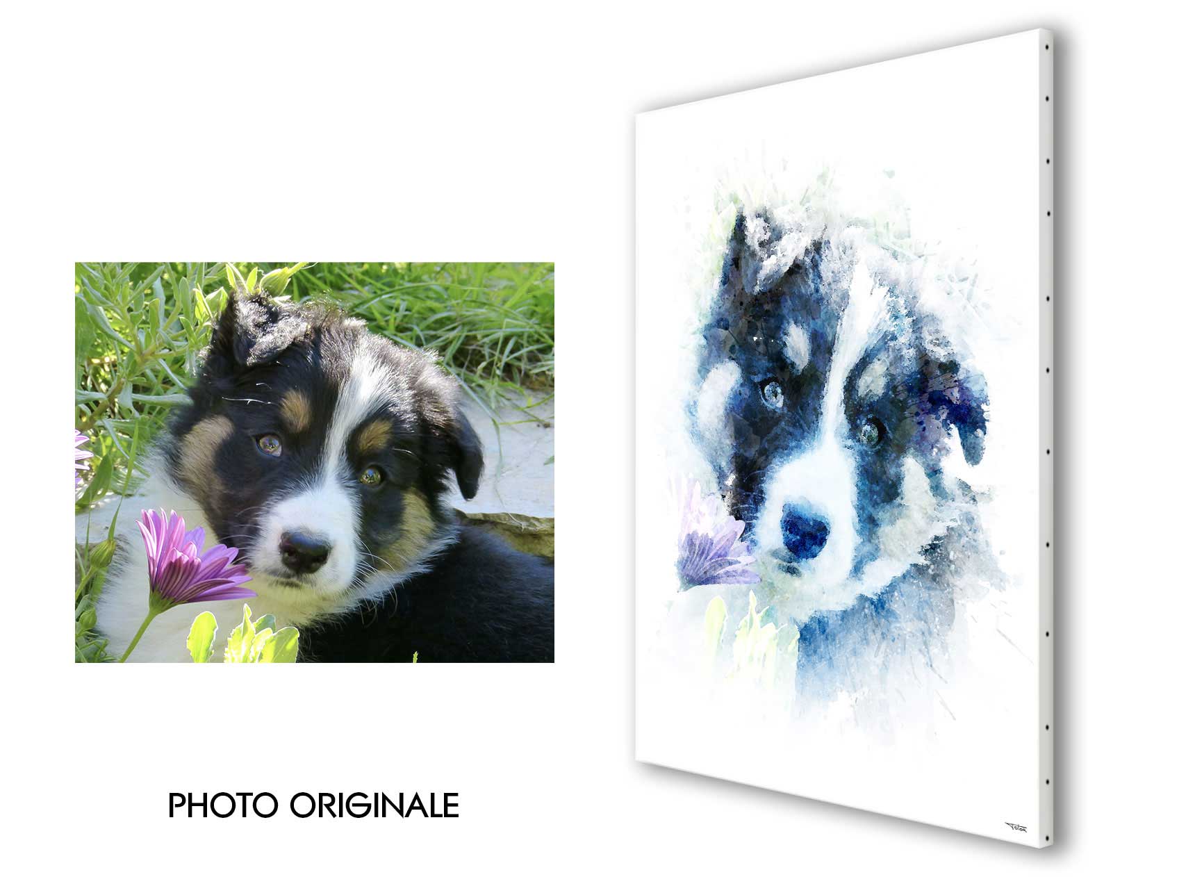 personnalisation-tableau-chien-splashed-laggan-03