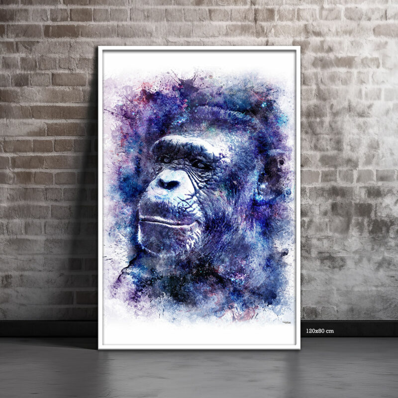 splashed-mur-brique-clair-poster-120x80-francais-animaux-singe-chimpanze-01-avec-cadre-blanc