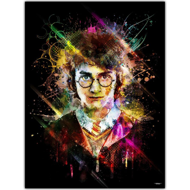 tableau-deco-harry-potter-daniel-radcliffe-concept-affiche-peinture-digitale-cinema-copyright-totor-pour-splashed-01