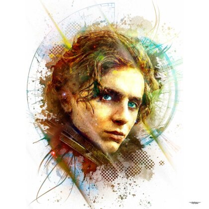 tableau-deco-dune-timothee-chalamet-cinema-copyright-totor-pour-splashed